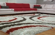 Shaggy_Carpet